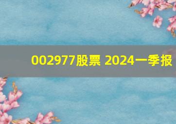 002977股票 2024一季报